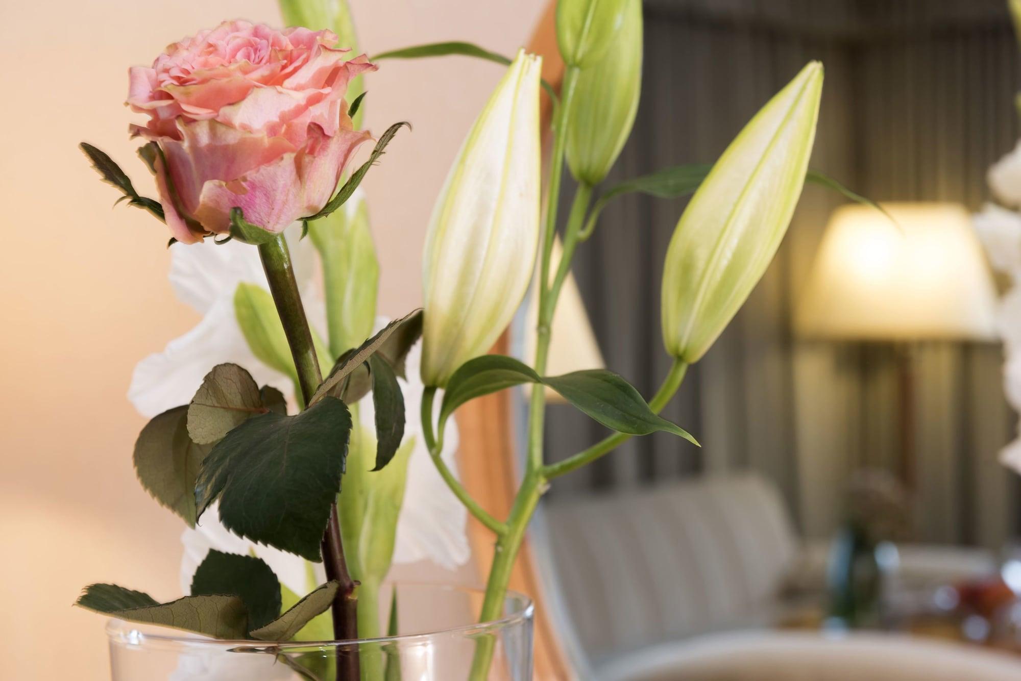 Maritim Hotel Magdeburg Ngoại thất bức ảnh